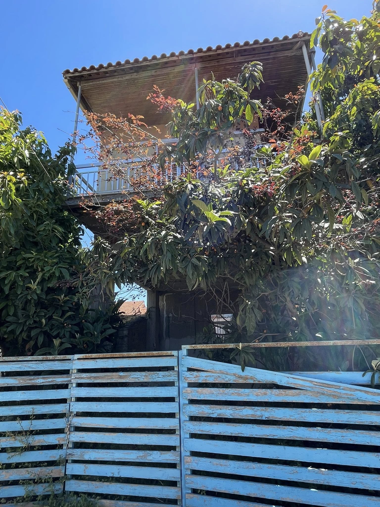 500250885_122160892394668719_3064519080622862567_n