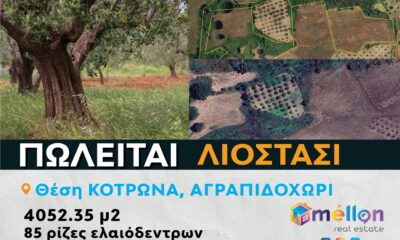 89f009eb-4930-4f3b-9a66-44c2d76acb8e