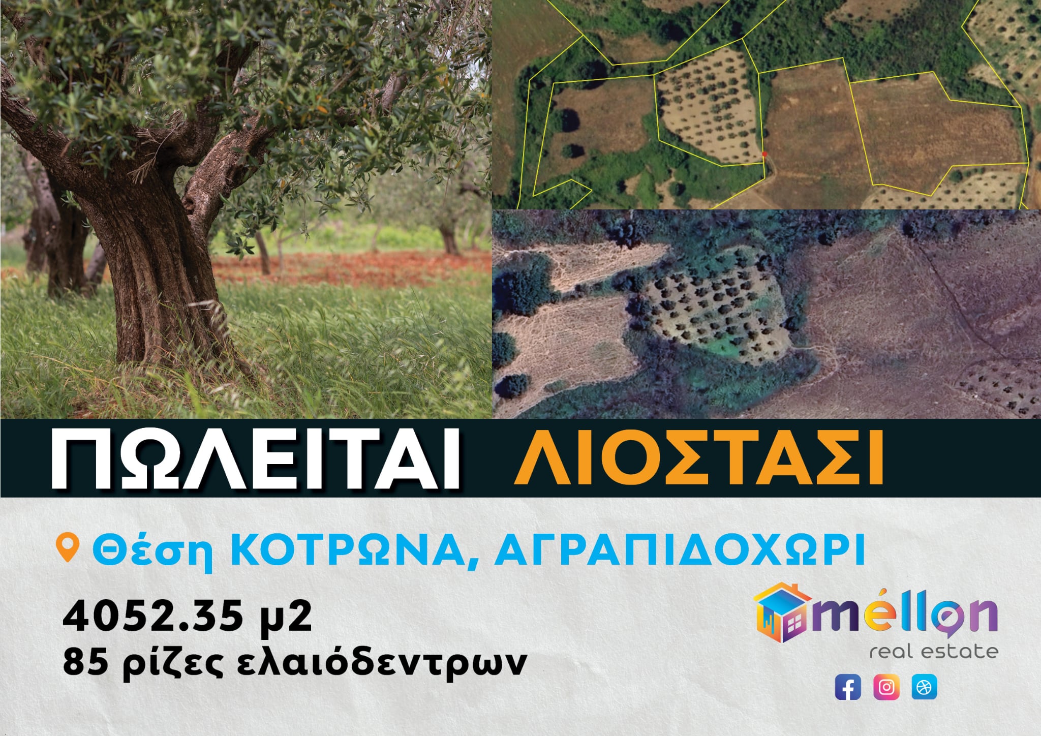 89f009eb-4930-4f3b-9a66-44c2d76acb8e